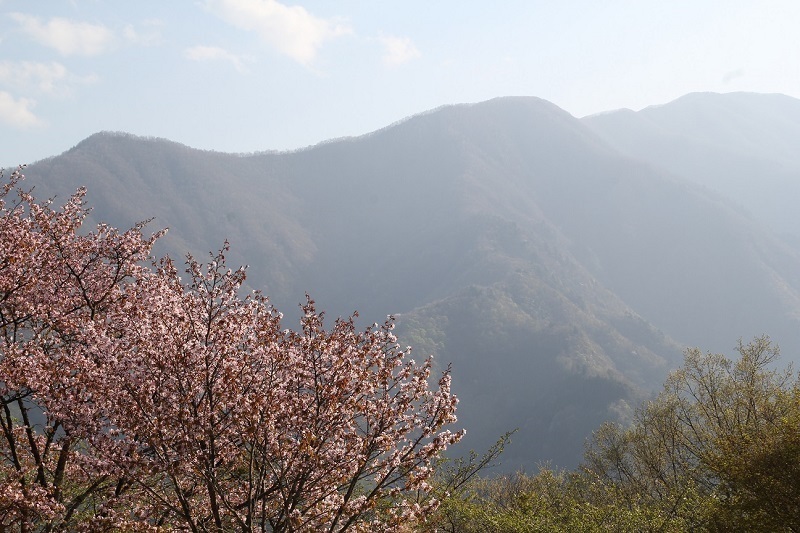 AS0018.JPG