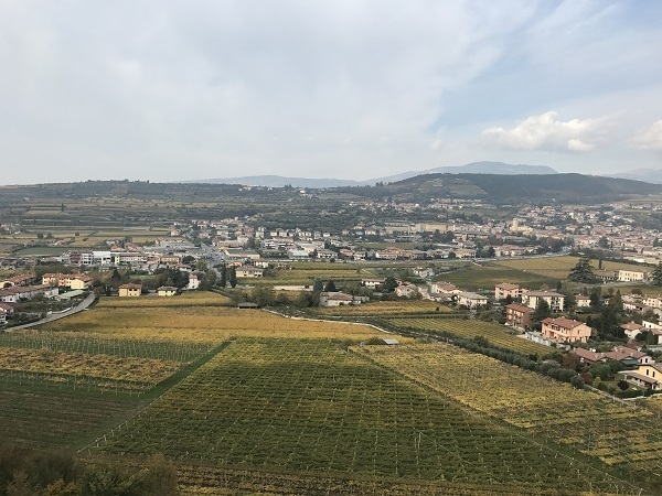 AS0124.JPG